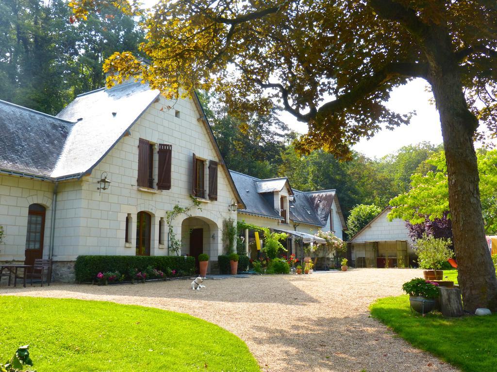 Domaine de Joreau Gennes-Val-de-Loire Extérieur photo